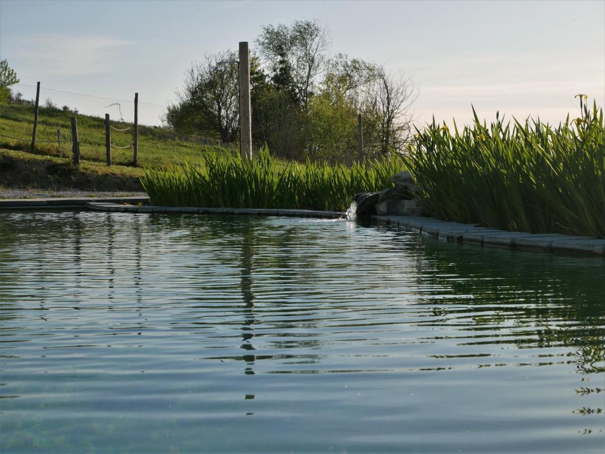 Agriturismo Villa Adimari 切雷托圭迪 外观 照片