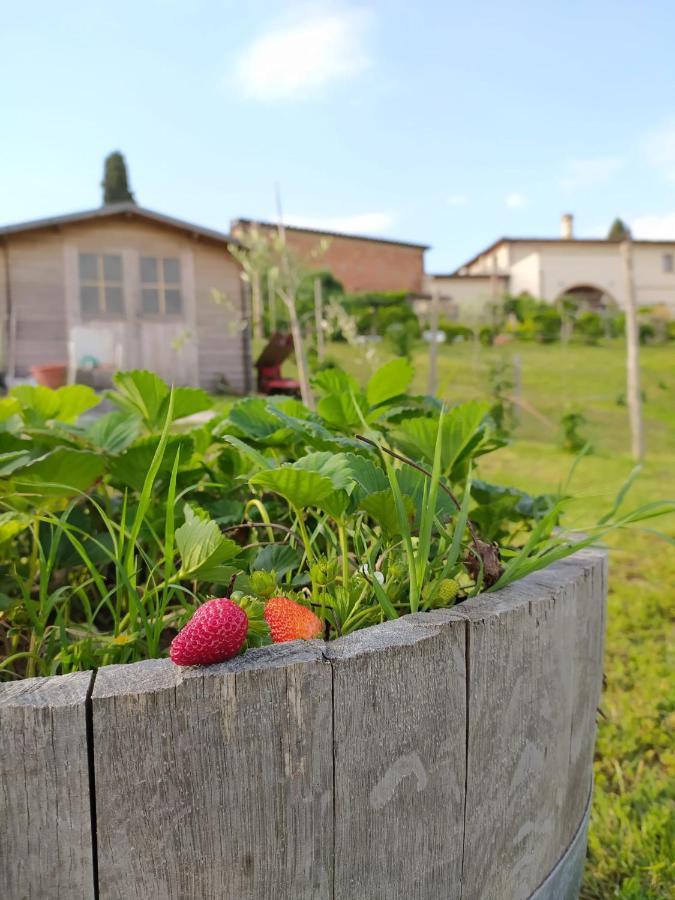 Agriturismo Villa Adimari 切雷托圭迪 外观 照片