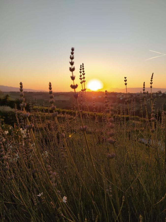 Agriturismo Villa Adimari 切雷托圭迪 外观 照片