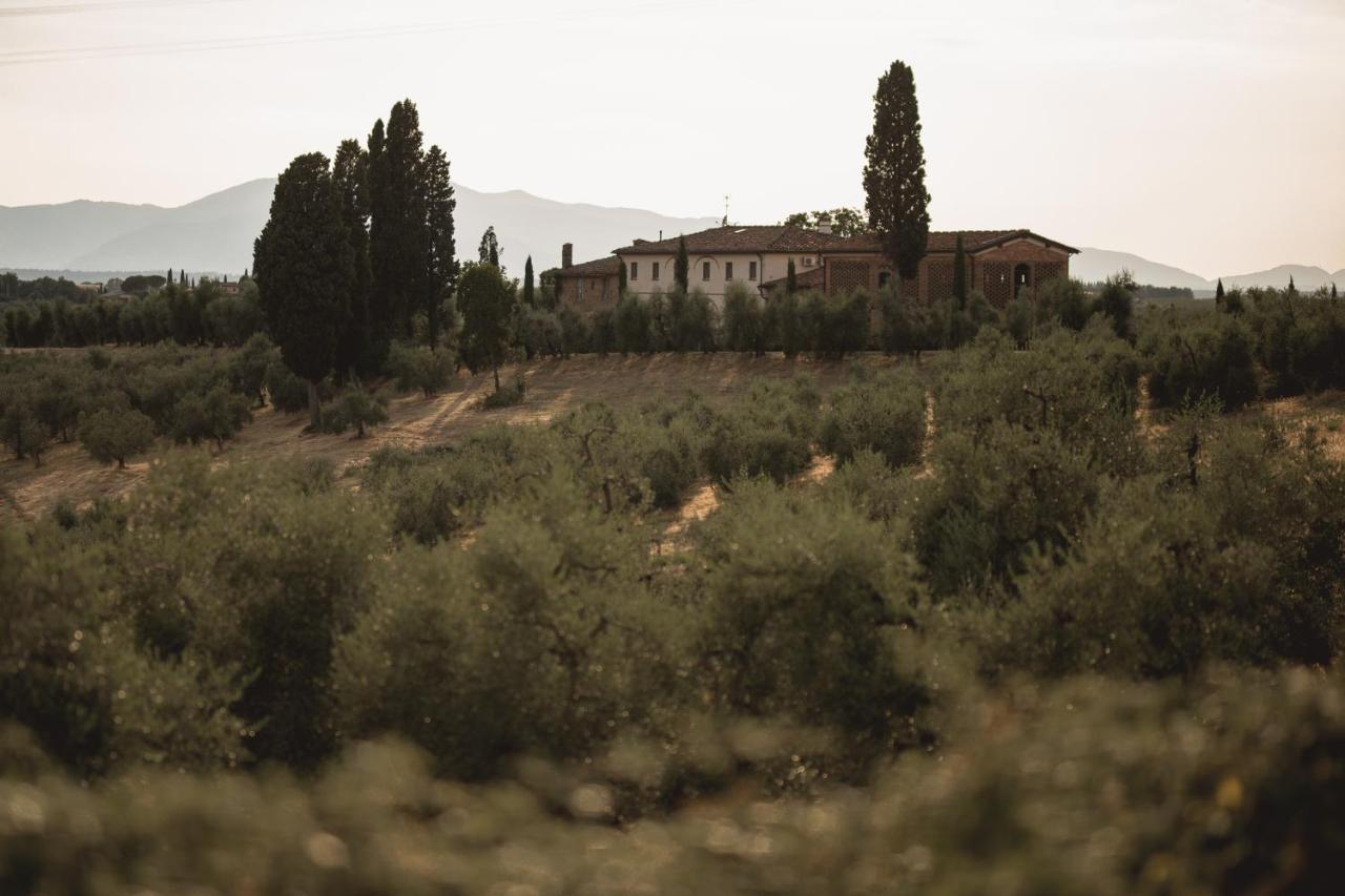 Agriturismo Villa Adimari 切雷托圭迪 外观 照片